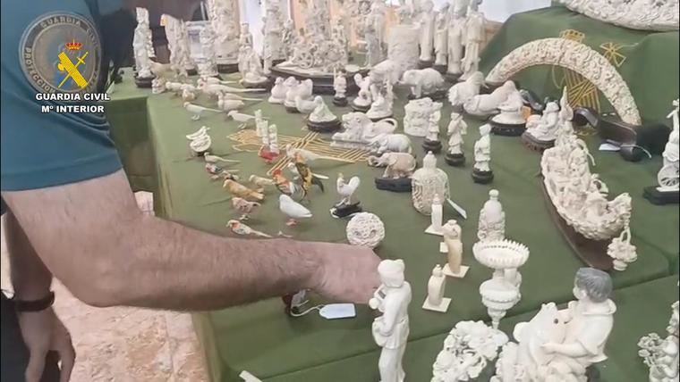 las 126 piezas de marfil de elefante + 1 de morsa, no cumplían la normativa de comercialización
