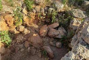 Derriban una columna del yacimiento talayótico de s'Illot en Manacor (Mallorca)