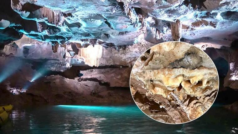 Detenido un turista moldavo por romper una estalactita en les Coves de Sant Josep de la Vall d'Uixó