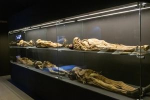 El museo se abrió en 1969. Alberga 177 cadáveres momificados. La afición por los muertos en Méjico ha hecho el resto.