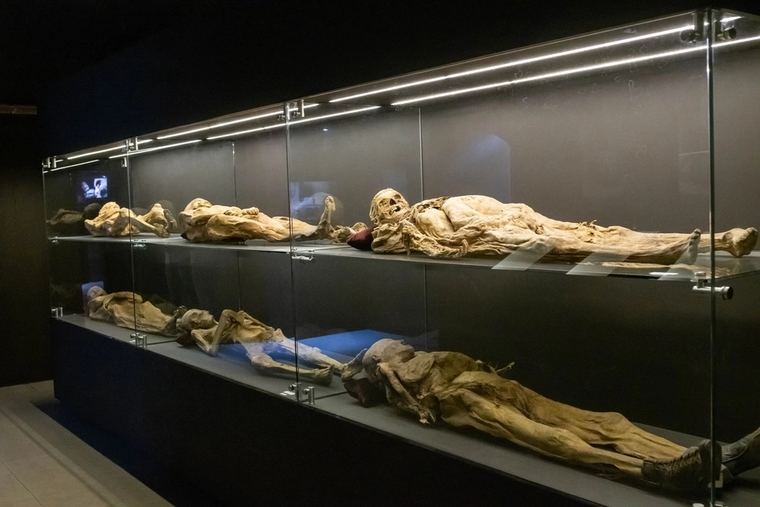 El museo se abrió en 1969. Alberga 177 cadáveres momificados. La afición por los muertos en Méjico ha hecho el resto.