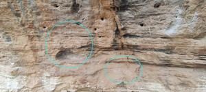 El yacimiento del Santuario Peñalba, en Villastar (Teruel), ha vuelto a ser víctima del vandalismo