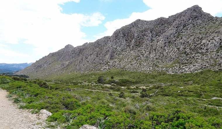 El yacimiento arqueológico del Pedret de Bóquer contiene los restos de la antigua ciudad de Bocchor.y es BIC desde 1966.
