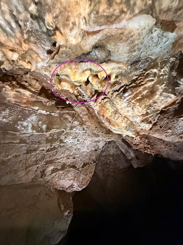 la estalactita media unos 3 cm ¿300 años de antigüedad?