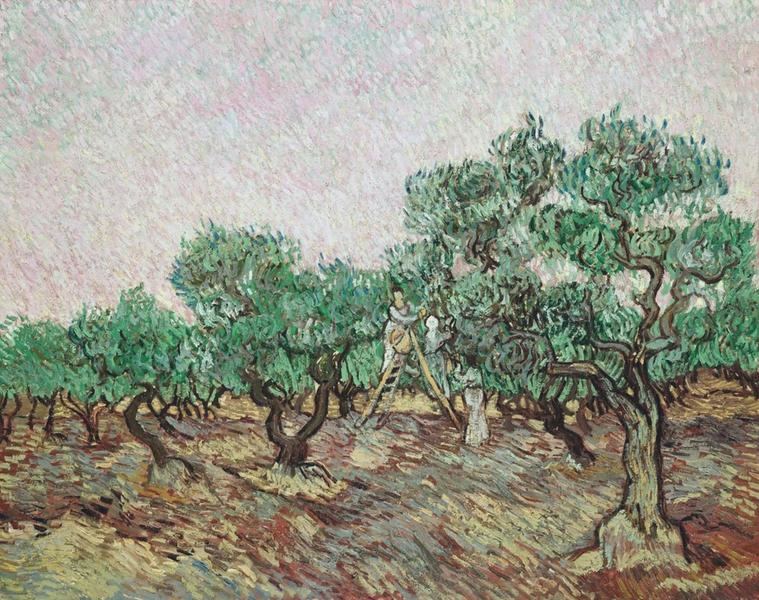 “La Cueillette des Aceitunas” (1889), Vincent van Gogh 