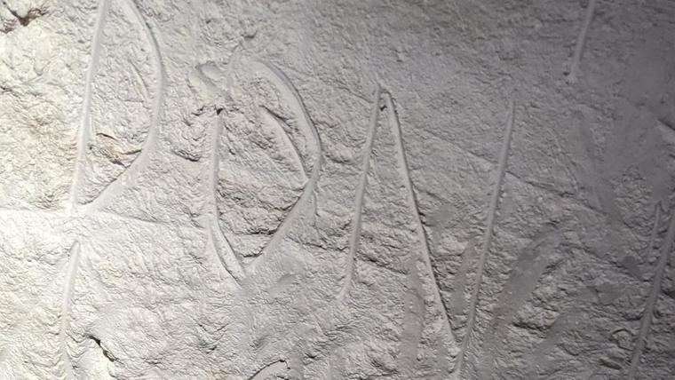 Destrucción de arte rupestre en Australia de 30.000 años de antigüedad 