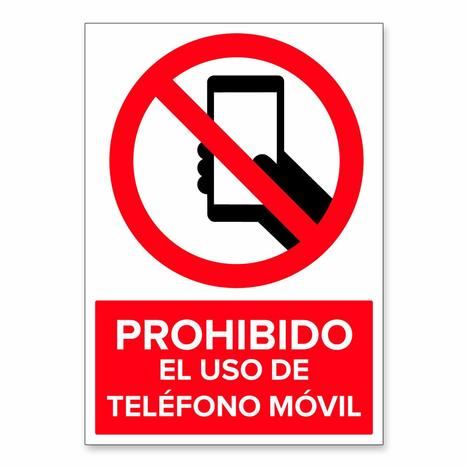 Los Medios han regalado una campaña de 6 millones de euros a los agresores del Prado.