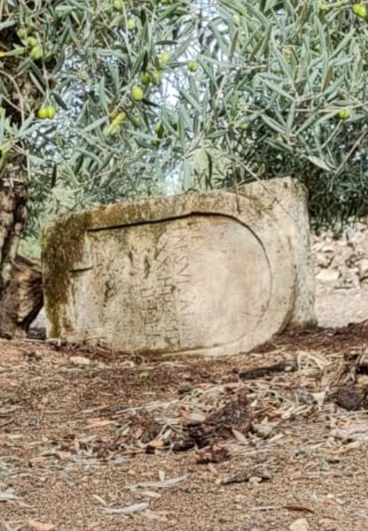 Estela funeraria romana intervenida por SEPRONA en un olivar de Lucena, Córdoba