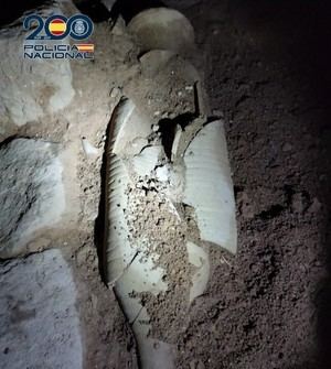 Dos hombres detenidos por expoliar y tratar de robar un ánfora del siglo III a.C. en un yacimiento arqueológico en Cartagena.
