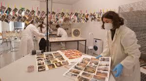 el laboratorio 'Salvem les Fotos' de la Universitat Politècnica de València (UPV), puesto en marcha tras la trágica dana del 29 de octubre de 2024