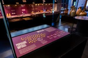 Robo en el Museo Romano de Lausana - Vidy