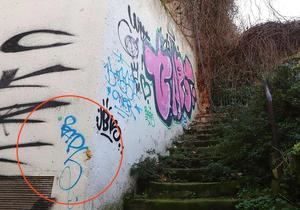 La firma 'BAPS' empleada en otros actos vandalicos demuestra la reincidencia del infractor.