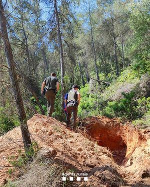 Investigado un arqueofurtivo con una excavadora que circula campo a través en busca de patrimonio cultural en la Rivera del Ebro (Tarragona).