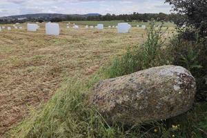El menhir de el Gamonal sigue derribado ¿quien lo protegerá?