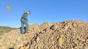 Un vecino de Aldeanueva de Ebro investigado por causar graves daños en el yacimiento arqueológico “La Torrecilla"(La Rioja)