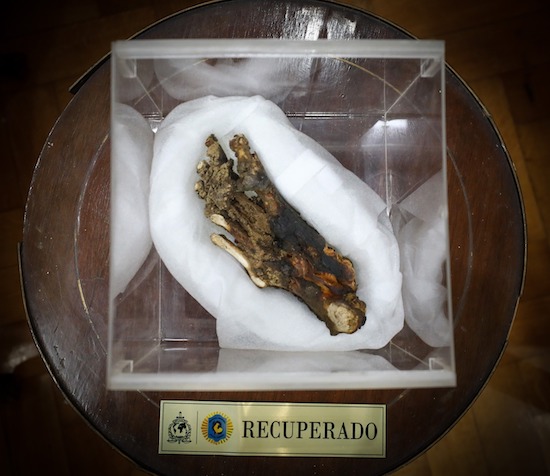 pìe de monia incautado en el Museo del Ovni (Victoria) y restituido a Perú.
