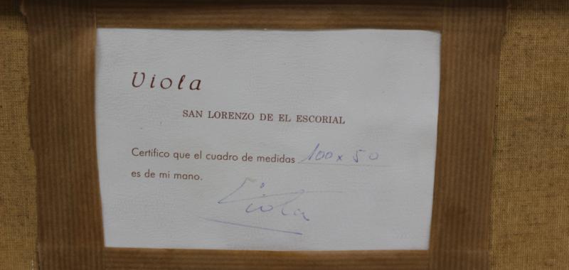 Manuel Viola